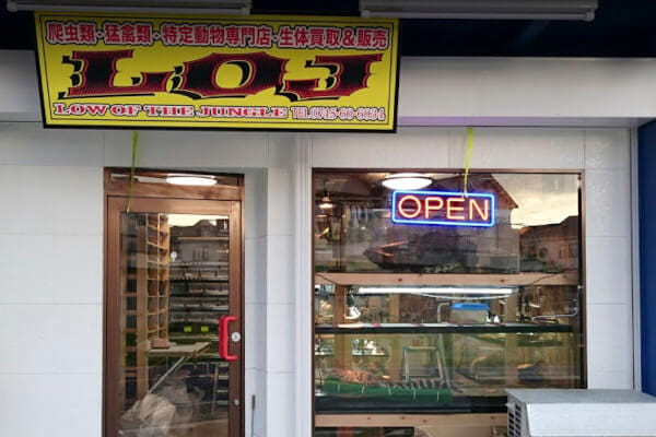 LOJ　【爬虫類専門店】