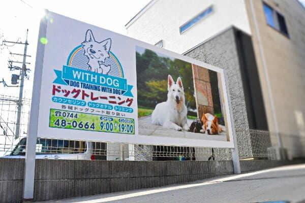 Dog training With dog