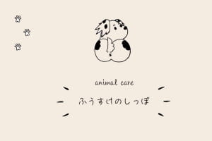 animal care ふうすけのしっぽ(出張専門)
