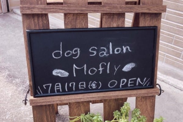 dog salon Mofly