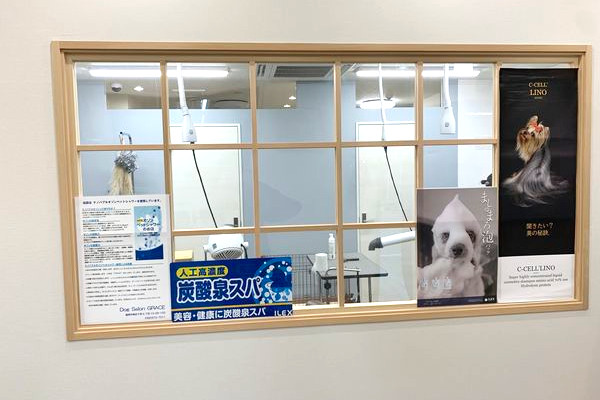 Dog Salon GRACE_1