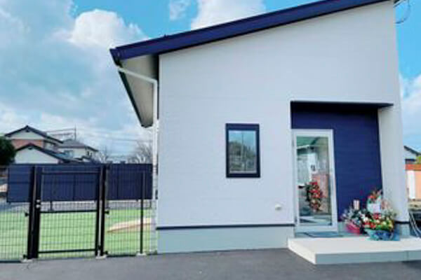 PETSALON Mili