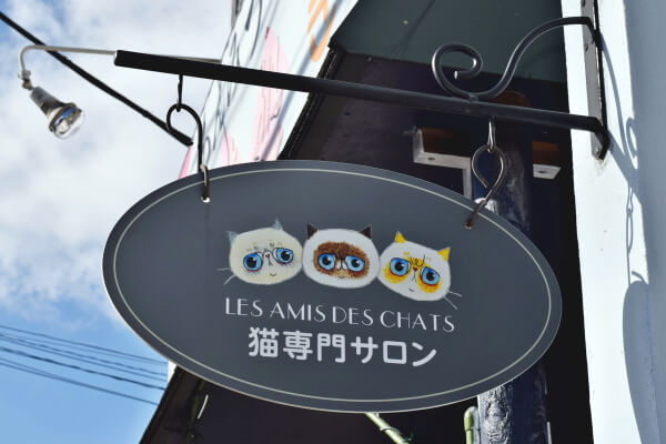 LES AMIS DES CHATS_1