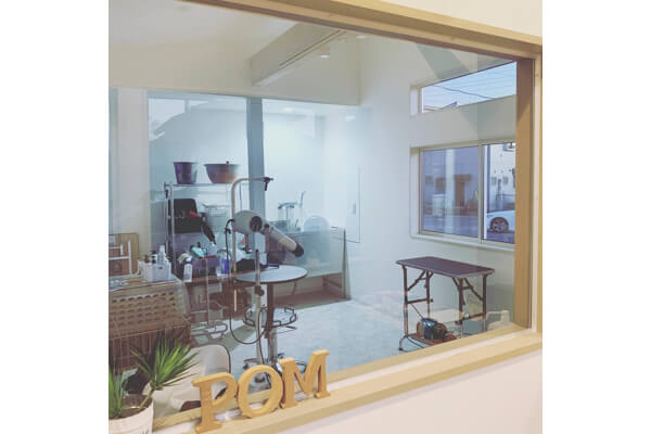 Dog salon POM_2