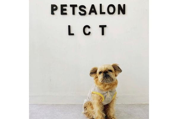 Petsalon L.c.t -ルクト-