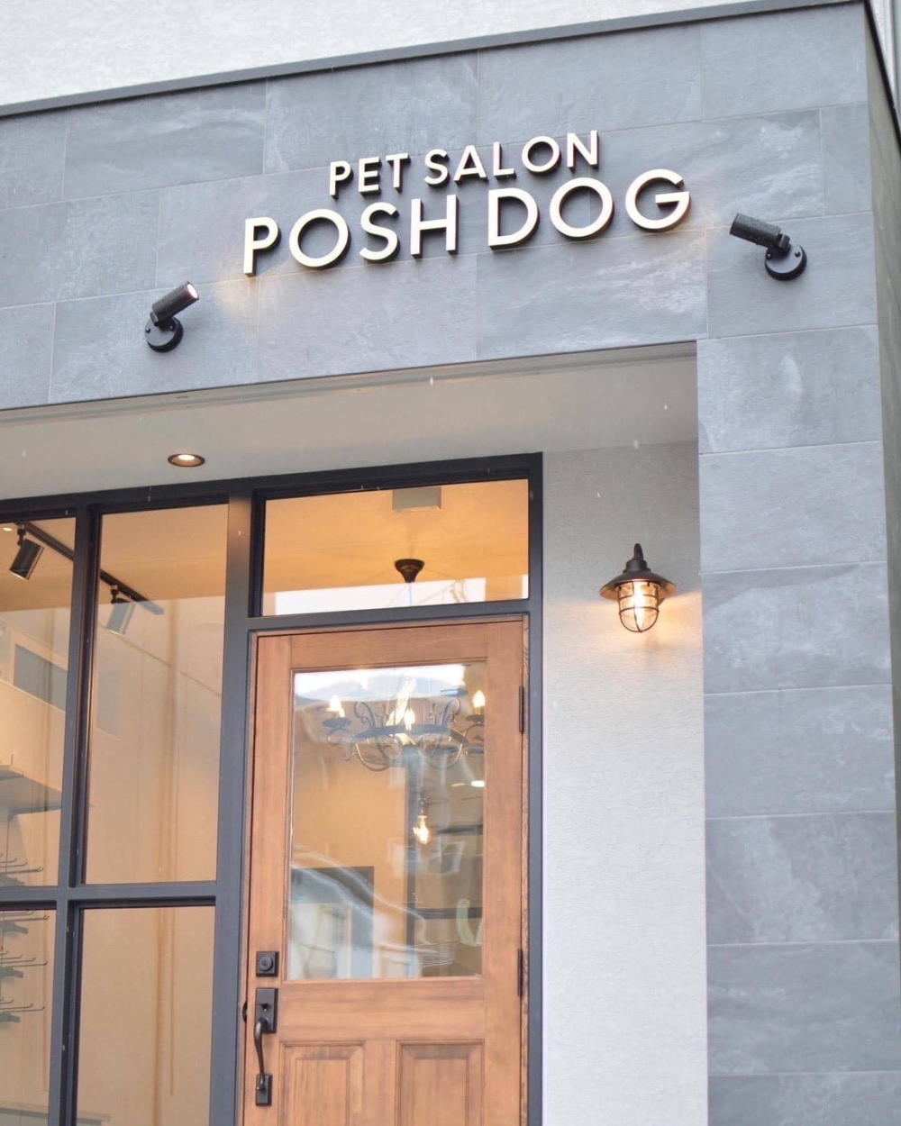 PETSALON POSH DOG_2