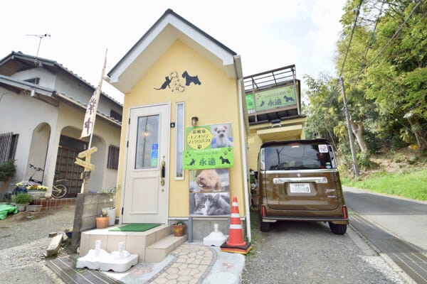 わんにゃん美容 永遠