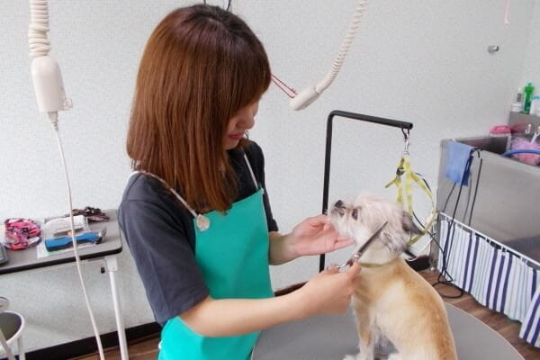 サロン・ド・フレンディ 南相馬店