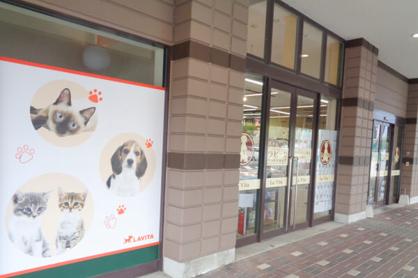 ペットショップ ラビータ フジグラン三原店