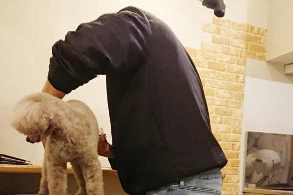 DOG SALON WOOFIN’_2