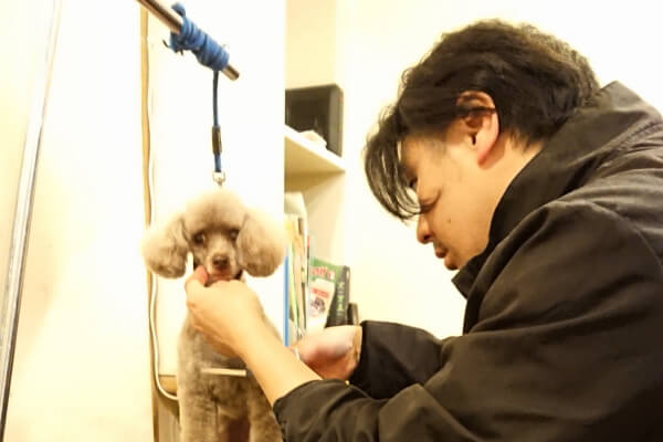 DOG SALON WOOFIN’_1