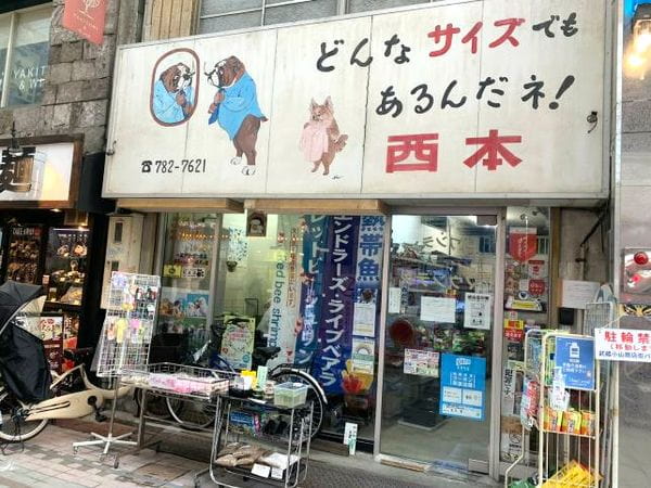 ワンワンランドマウンテン