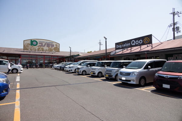 dog salon Qoo 狭山店