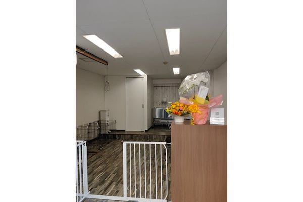 Trimming Salon Ses_1