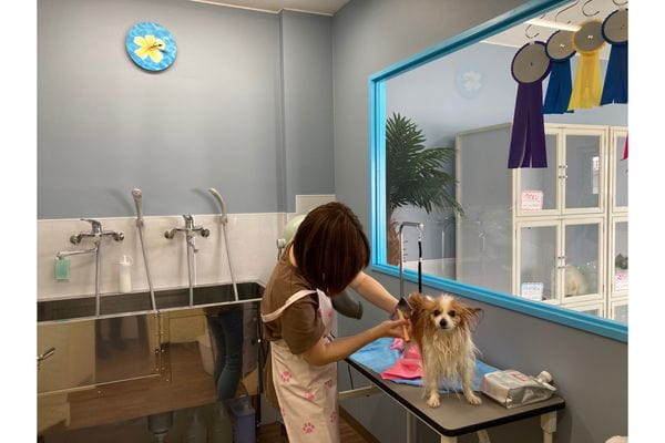 Breeder＆Petsalon MAU_4