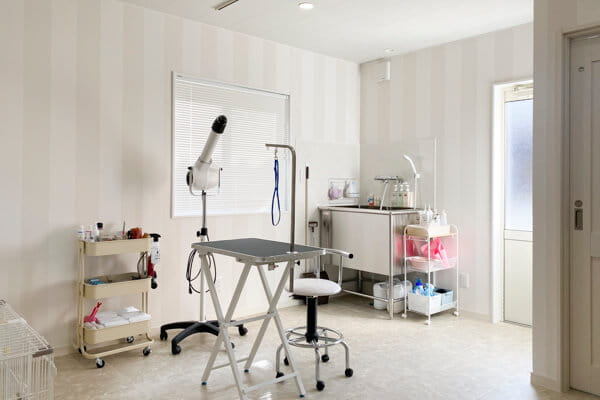 dogsalon Lea Lea_2