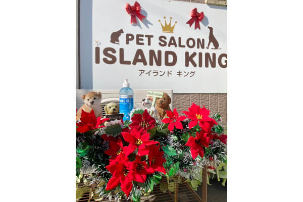 PET SALON_ISLAND KING