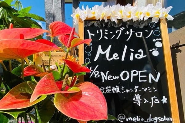 トリミングサロンMelia_1