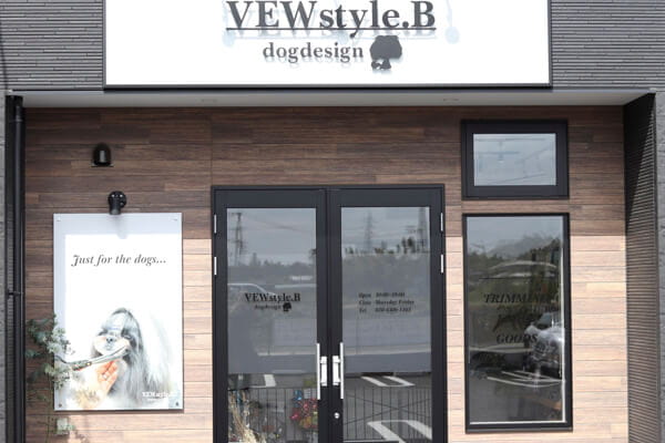 VEWstyle.B