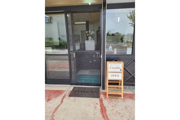 Pet Salon Cocotte