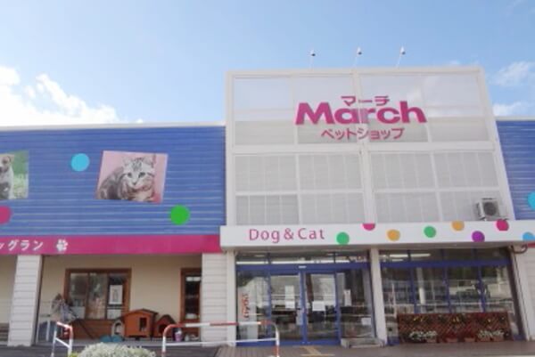 ペットショップマーチ 黒部店