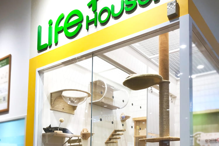 ぺテモ筑紫野店_4
