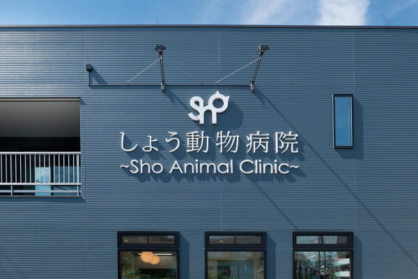 Salon de Ichiko