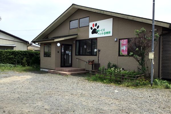うめ・くりペット診療所