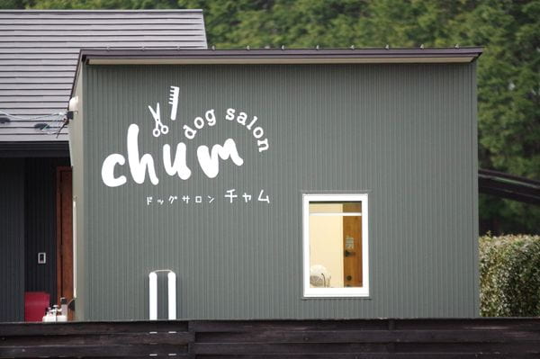 dog salon chum_2