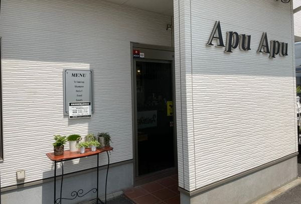 Apu Apu_1