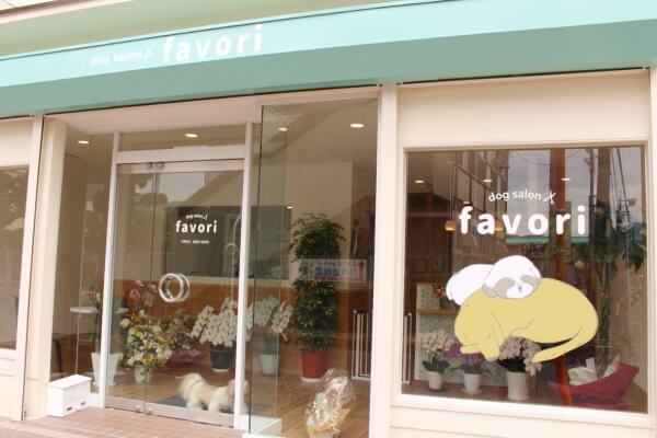 dog salon favori