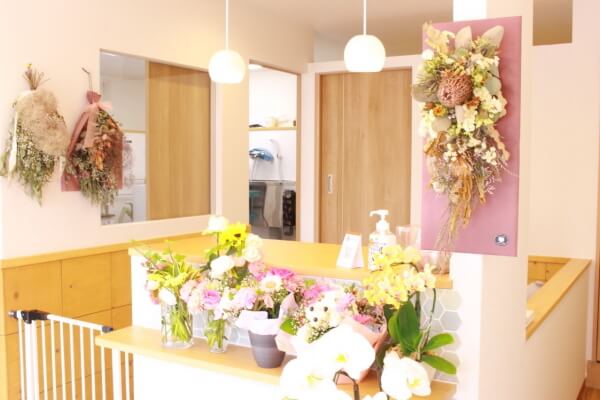 dog salon favori_1