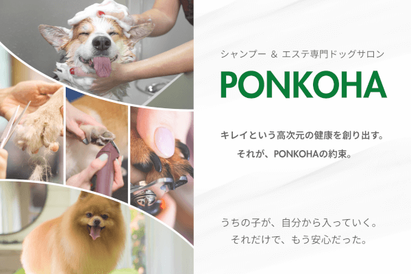 PONKOHA