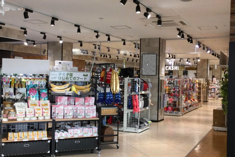ペテモ明石店_1