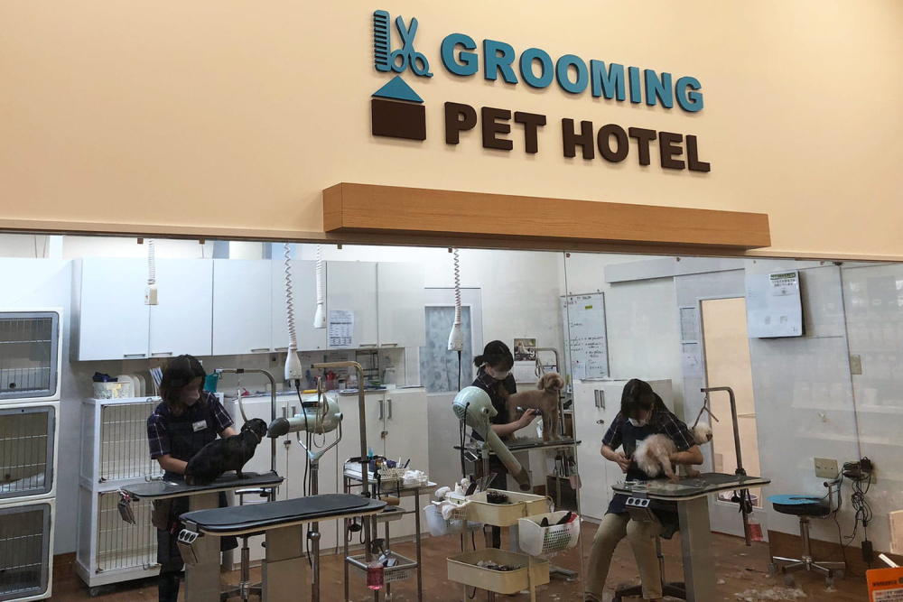 ペテモ各務原店（イオンペット）_2