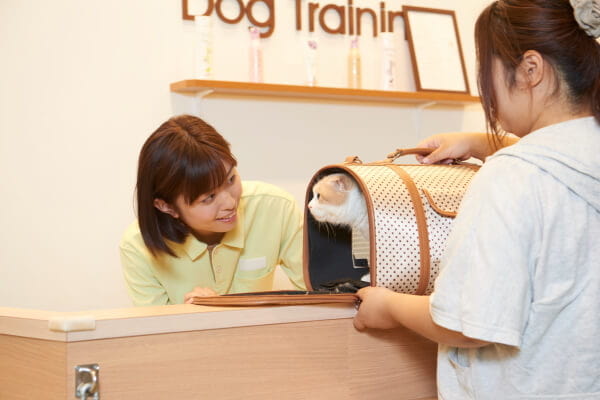 ペテモ茅ヶ崎店_3
