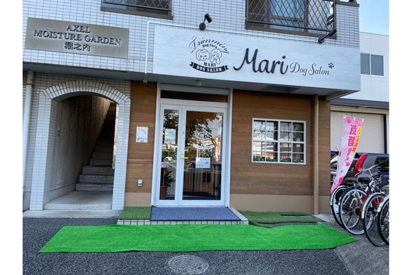 Mari Dog