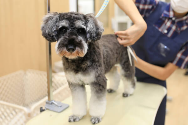 ペテモピアシティ稲毛海岸店_3