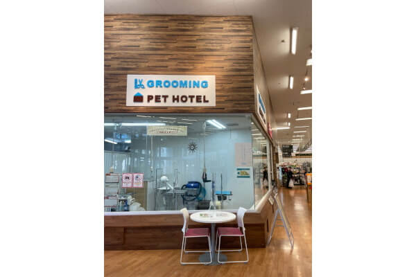 ぺテモ津田沼店_1