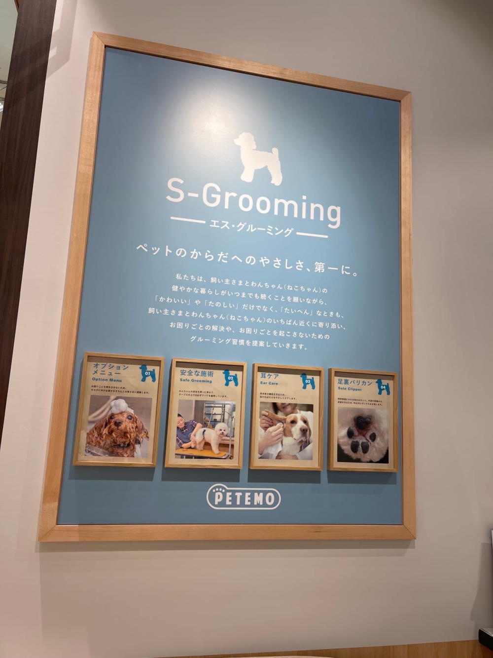ペテモ浜松志都呂店（イオンペット）_2
