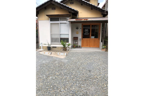 dog salon Sunny
