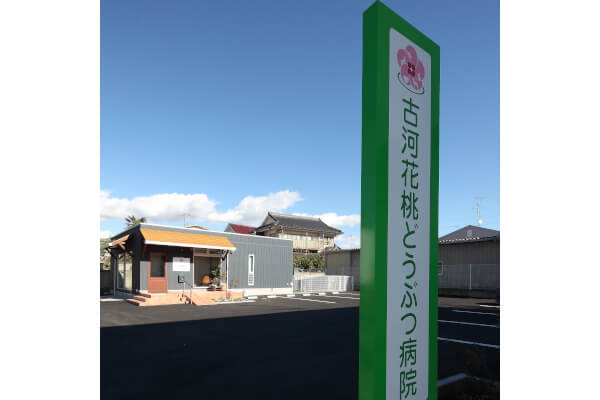 古河花桃どうぶつ病院_6