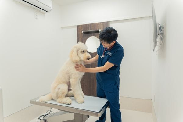 野尻　亮輔 / 院長・獣医師
