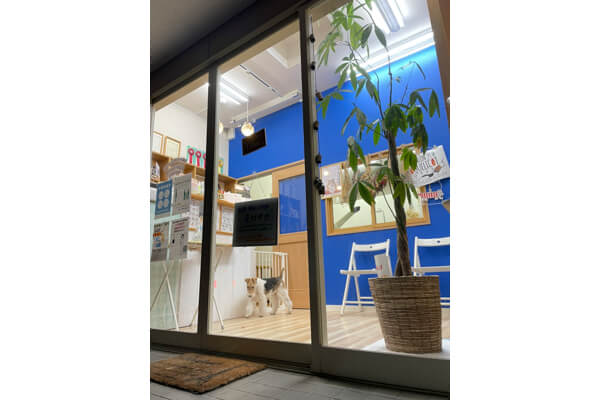 DOG SALON COQUELICOT