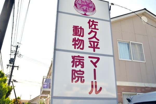 佐久平マール動物病院(トリミング)