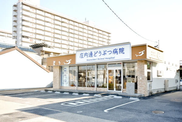 庄内通どうぶつ病院(トリミング)