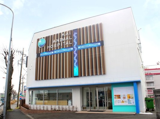 海動物病院 大宮本院(トリミング)