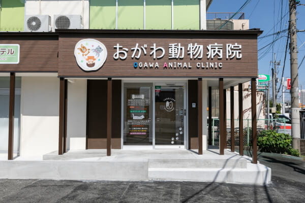 おがわ動物病院_1