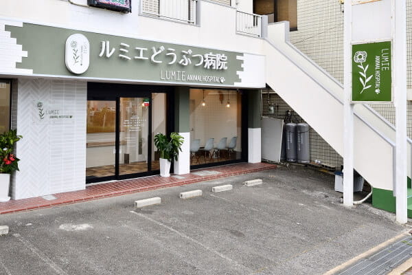 ルミエどうぶつ病院