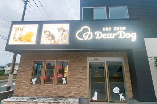 Dear Dog